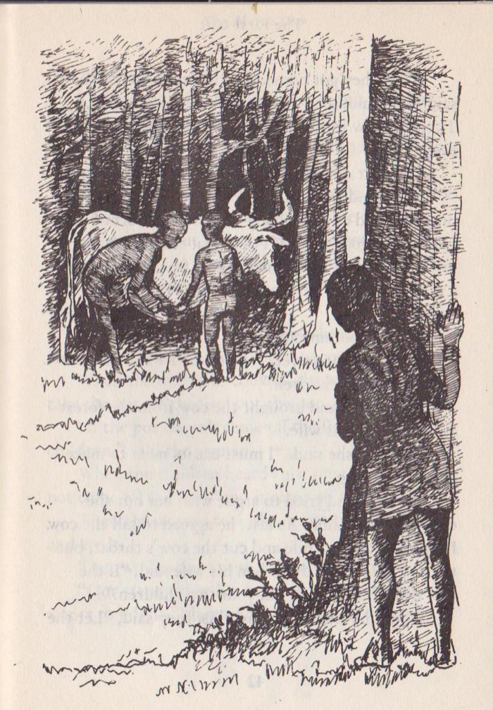 Illustration by Yosef Kebede, from “The Magic Cow”