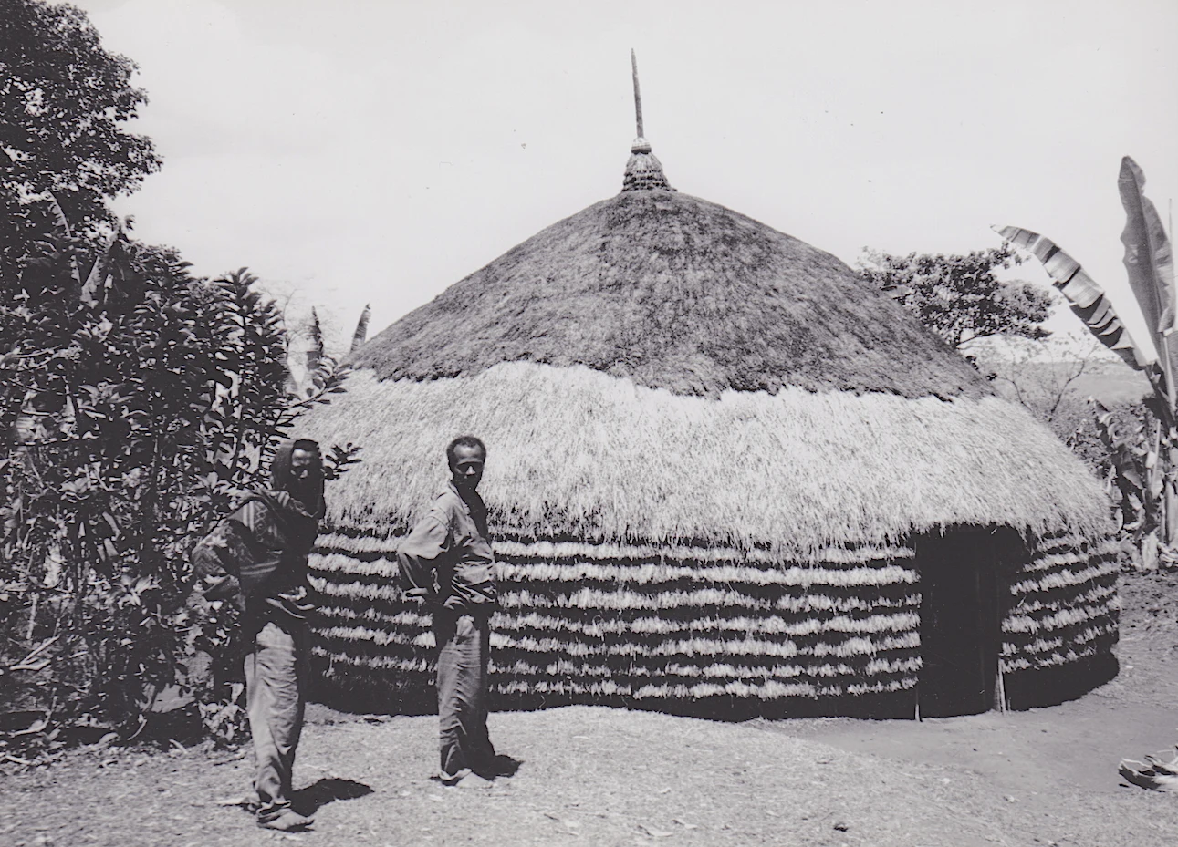 A round Sidama house with a broad, frilled thatched roof